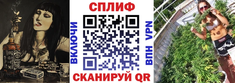 Где купить наркоту Реж COCAIN  ГАШ  Псилоцибиновые грибы  Марихуана 