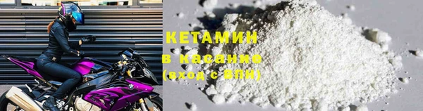 трава Корсаков