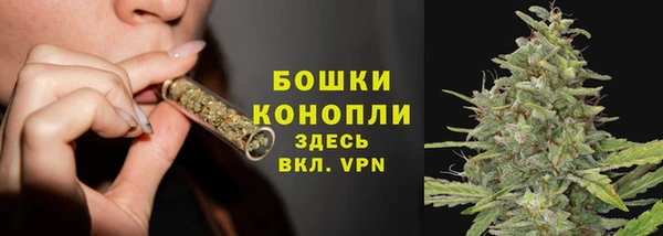трава Корсаков