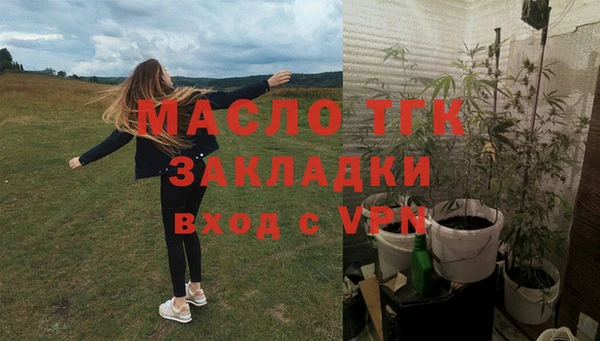 трава Корсаков